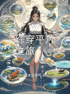 综穿平凡之旅综穿平凡之旅